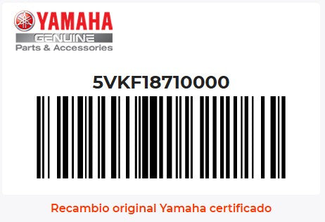 Botella de Expansión Yamaha XT660 2004/2014